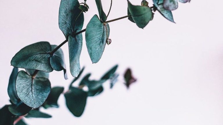 annie spratt 191709 unsplash result