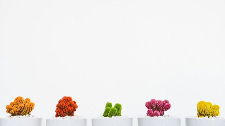 scott webb 199470 unsplash result